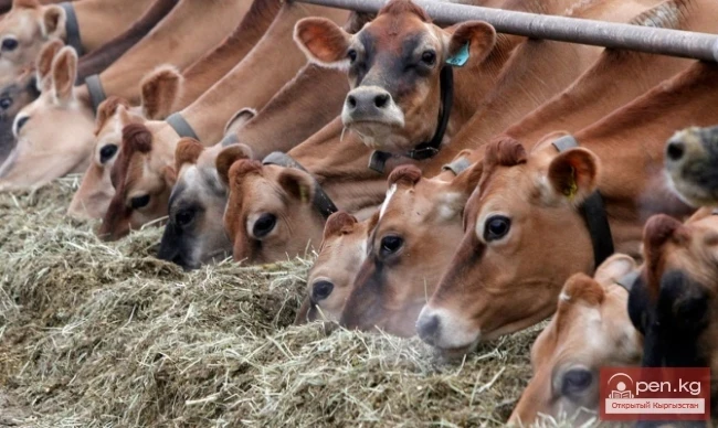 Agriculture of Kyrgyzstan