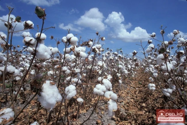 Agriculture of Kyrgyzstan