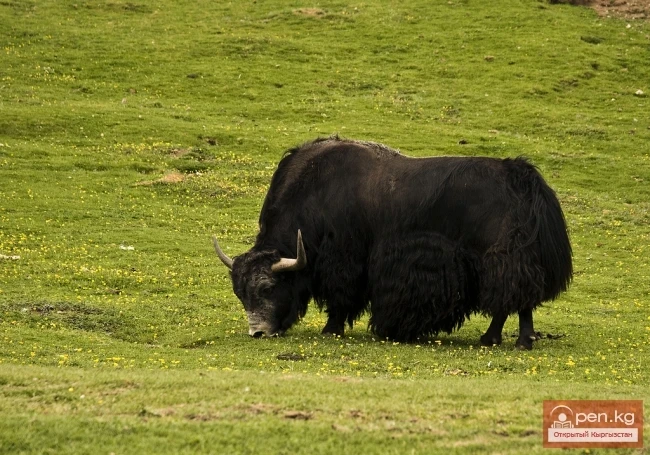 Agriculture of Kyrgyzstan