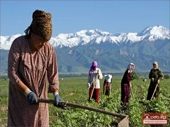 Agriculture of Kyrgyzstan