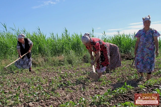 Agriculture of Kyrgyzstan