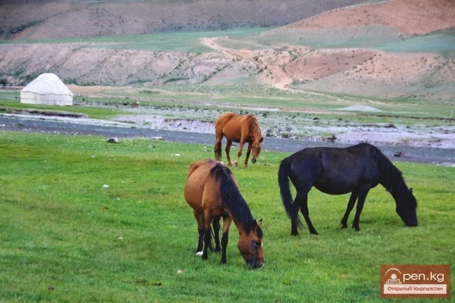 The History of the Economy of Southern Kyrgyz in the 19th Century