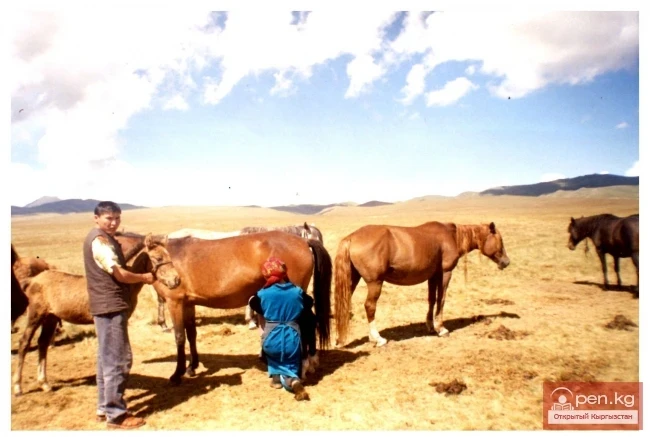 Agriculture of the Southern Kyrgyz in the 19th - Early 20th Centuries.