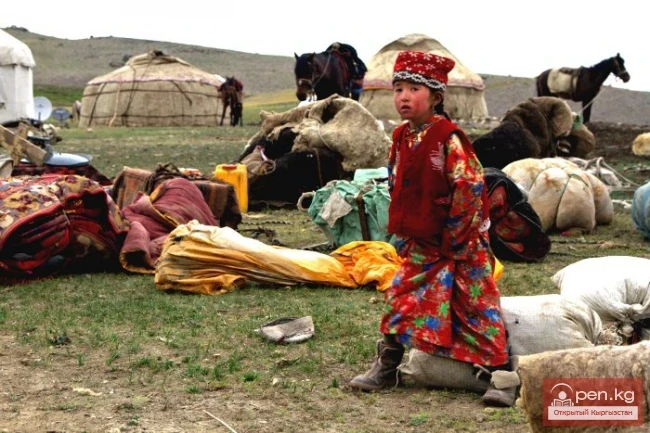 Киргиздердин үй жаныбарларынын жүрүм-турумун изилдөө
