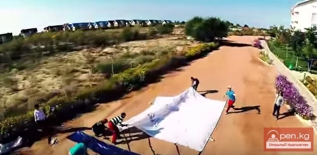 Вюжеты из мастерской ЭПР