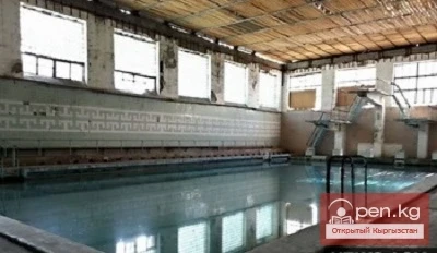 Дельфин бассейни