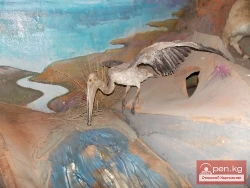 Kochkor Historical and Local Lore Museum