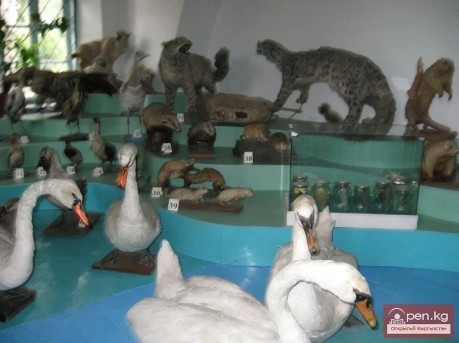 Караколдогу тарыхый-өлкөлүк музей