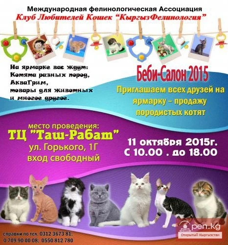 Exhibition Sale of Purebred Cats and Kittens
