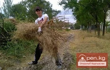 «Ататюрк» паркы шаардыктардын эс алуучу жана тынчтык орду болушу керек. Ошондойбу?