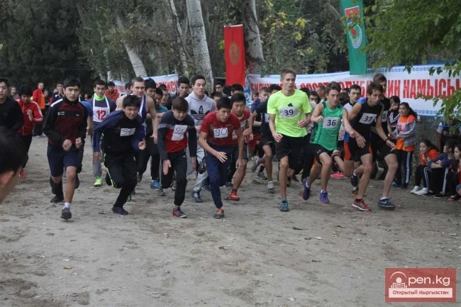 Карагачтардагы күзгү кросс