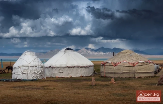 Кыргыздардын жайыттарды пайдалануу