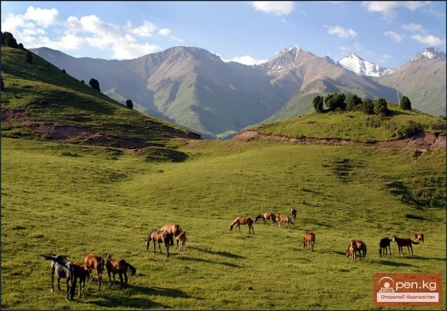 Кыргыздардын жайыттарды пайдалануу