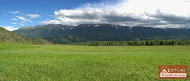 Качества пастбищных трав