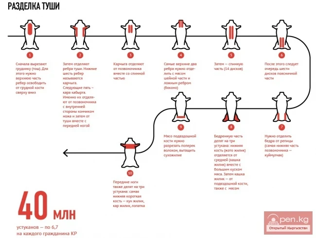 Как правильно разделать барана