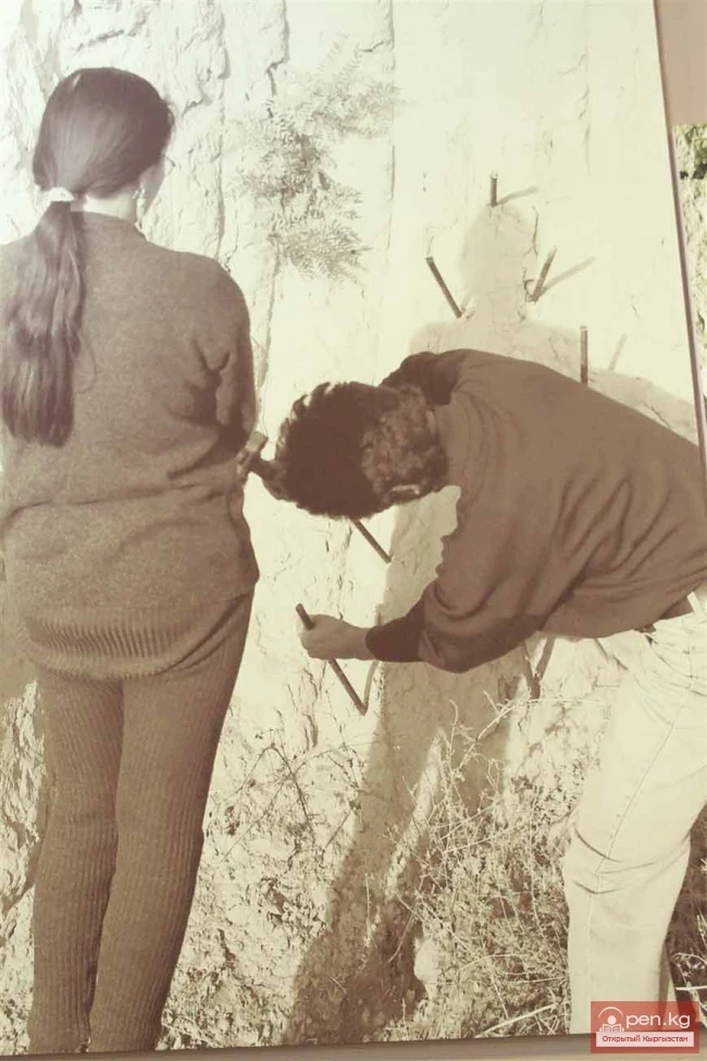 «TOPOGRAFICA» establishes connections