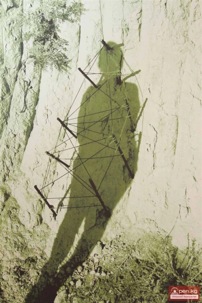 «TOPOGRAFICA» establishes connections