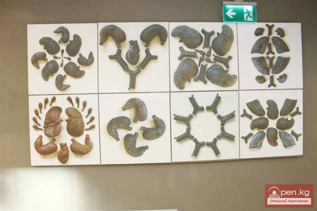 «TOPOGRAFICA» establishes connections