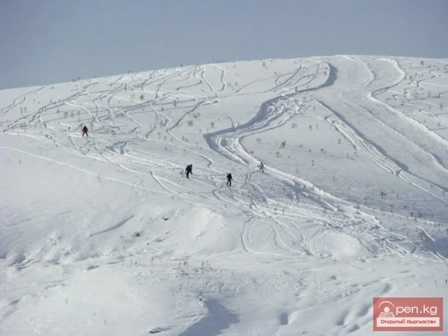 Шаңгы базасы «Тоо Ашуу»