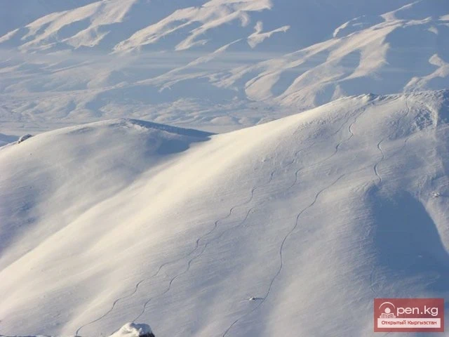 Шаңгы базасы «Тоо Ашуу»