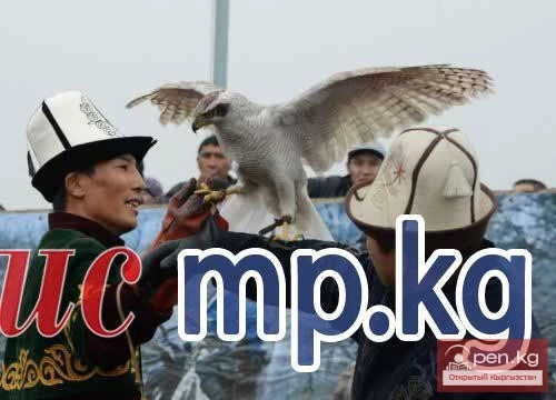 Салбуурун спорт катары, же улуттук аңчылыктын өзгөчөлүктөрү!