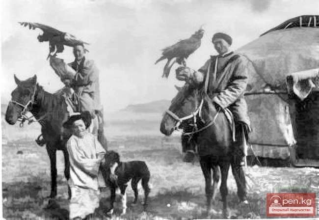 Кыргызы кантип аңчылык куштарын кармайт жана үйрөтөт