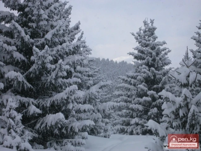 Горнолыжная база "Каракол" - "Каракол" тоо лыжа базасы