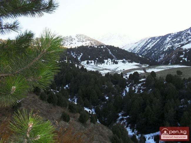 Горнолыжная база "Кашка-Суу"