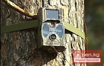 Camera traps and GPS navigators have been installed in the national parks of the Talas region.