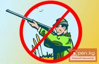 Кыргызстанда аңчылыкка мораторий киргизүүнү сунушташууда