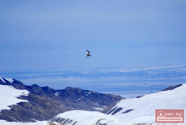 Шаңгы базасы «Карион-ЗиЛ»