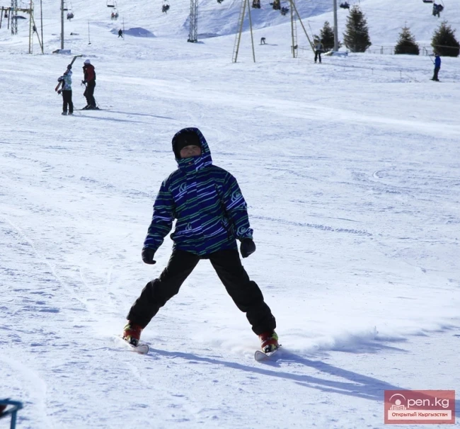 Шаңгы базасы «Карион-ЗиЛ»