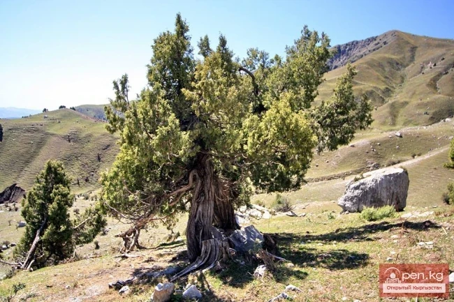 Арсланбоб – «земной рай» Кыргызстана