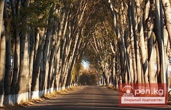 Темир Сариев Ысык-Көлдүн көркөм жерин толук жок болуудан сактап калды