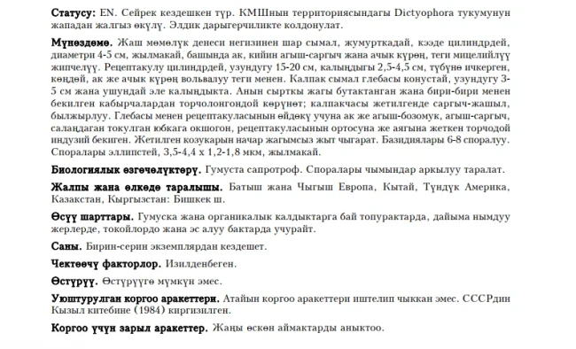 Сетконоска (диктиофора) сдвоенная / Ачаланган диктиофора / Doubled Netted Stinkhorn