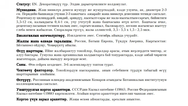 Мутинус собачий / Ит мутинусу / Dog Stinkhorn