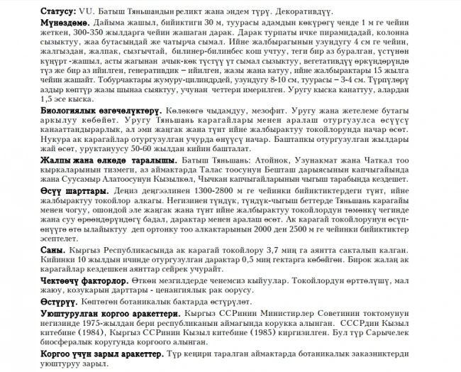 Семенов пихтасы / Ак карагай / Semenov’s, or Tien Shan, Fir-tree