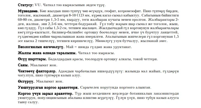 Twelve-dentate Onion / Он эки тишчелуу пияз / Лук двенадцатизубый