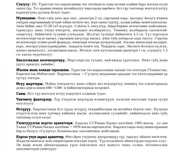 Pink Tulip / Мала кызыл мандалак / Тюльпан розовый