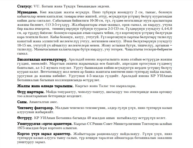 Orchid-like Juno / Juno orchioides / Юнона орхидная