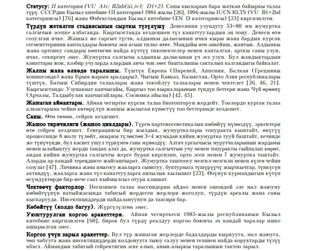 Дыбка степная / Айман чегиртке / Matriarchal Katydid, Predatory Bush Cricket