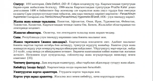 Long-eared Hedgehog / Брандттын кирписи / Brandt’s Hedgehog