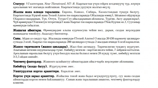 Common Water Shrew / Suu Chychkan / Eurasian Water Shrew