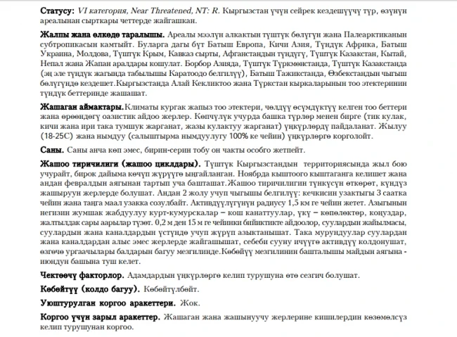 Bokhara Horseshoe Bat / Бухарский подковонос / Бухара така тумшуктуу жарганат
