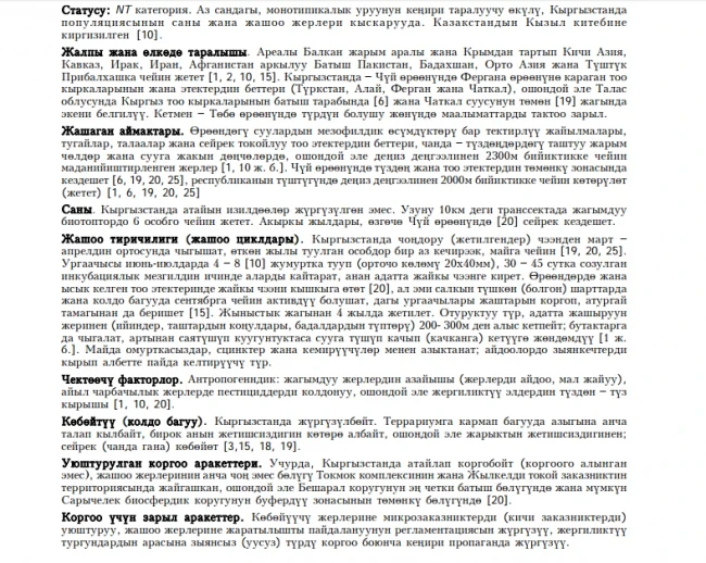 Sheltopusik, or Armour Glass-lizard / Желтопузик / Бутсуз кескелдирик, Жылан сымал кескелдирик