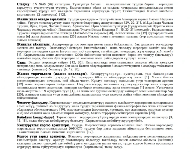 Schneider’s Gold Skink / Kadimki Tartak Skink