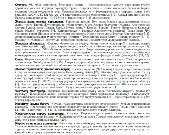 Ренарддын боздон чаар жыланы / Степная гадюка Ренарда / Renard’s Meadow Viper