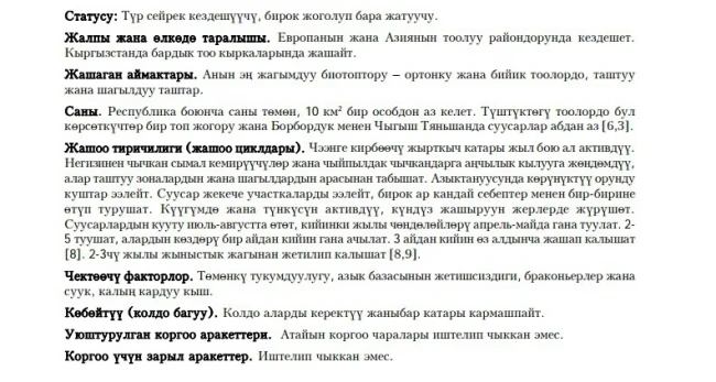 Stone marten or beech marten / Suusar / Beech marten