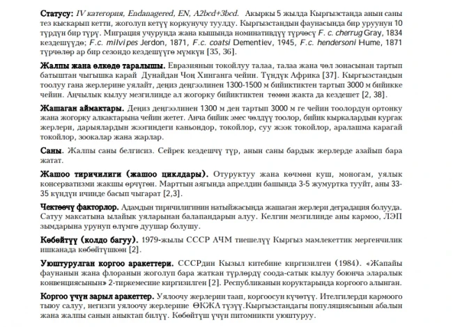 Saker Falcon / Itelgi / Балобан