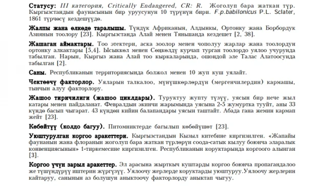 Barbary Falcon / Shaheen / Рыжеголовый сокол